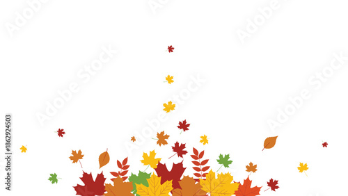 Scattered composition of falling autumn leaves in various colors like red, orange, and yellow at the bottom of a clean white background for seasonal themes.
