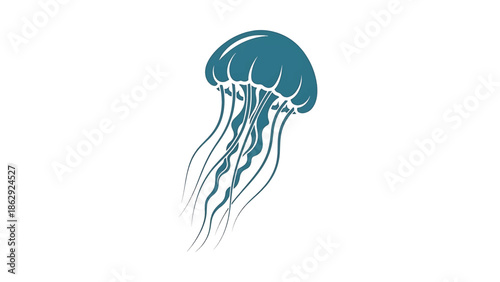 A stylized illustration features a jellyfish in teal tones against a white background. The creature's bell shape is textured. Its tentacles flow