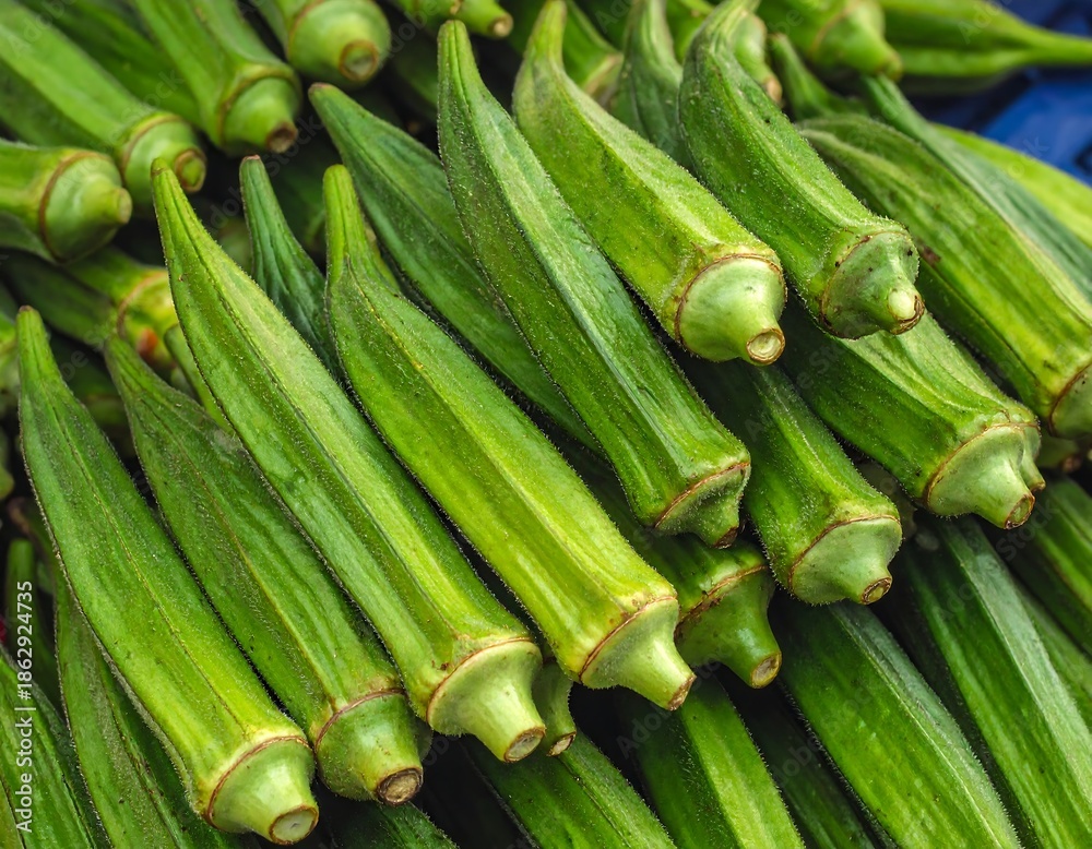 Obraz premium A close-up view presents a pile of fresh okra. Their vibrant green hues and angular shapes form a textured composition