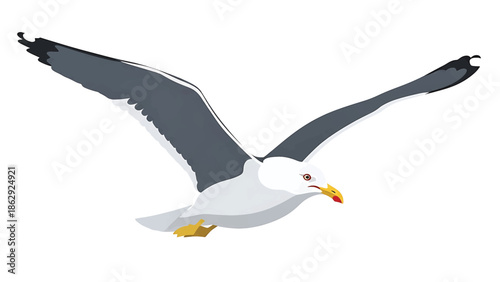 A stylized illustration features a seabird in flight. The bird has outstretched wings with black tips. Its body is white with some grey