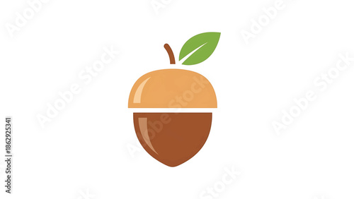 A stylized illustration features an acorn, its top half in light brown with highlights, the bottom half in darker brown, and a green leaf