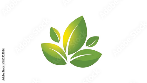 A stylized illustration of leaves in shades of green and yellow, with a textured effect, arranged on a white backdrop