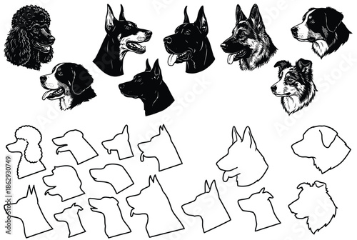 Various dog breeds and silhouettes isolated on white background, Vector, illustration