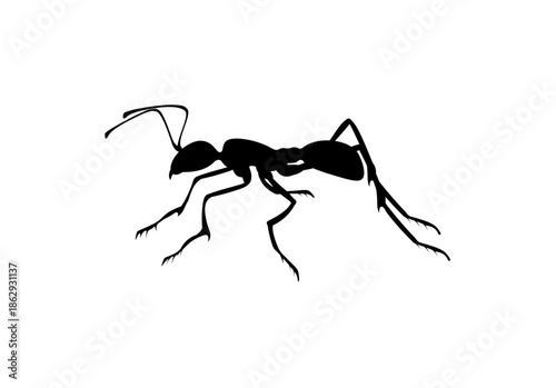 Industrious Ant Insect Silhouette Side View, Isolated White Background
