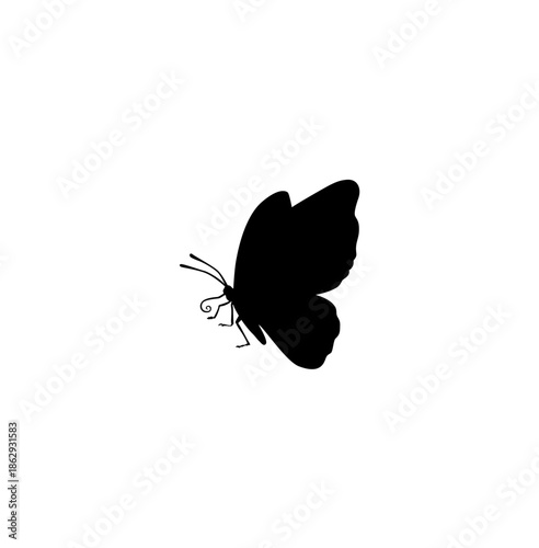 Black Silhouette of a Butterfly Insect with Wings Folded in a Side View on an Isolated White Background