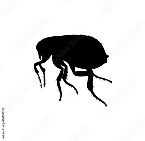 Black Flea Silhouette, Parasitic Insect Pest Jumping on Isolated White Background