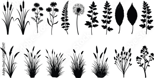 Black silhouette border of wild meadow flowers, tall grass, thistle, dandelion, chamomile, field herbs, cad drawing flat vector illustration.