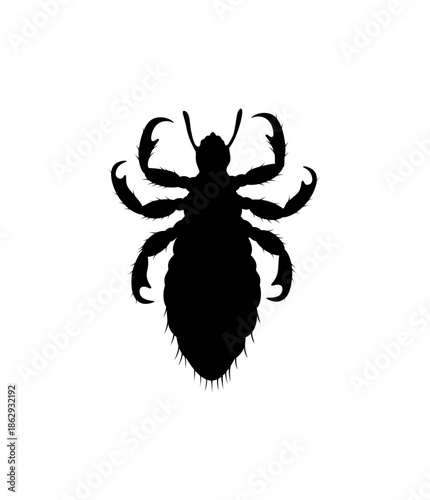 Black Body Louse Silhouette, Parasitic Insect Pest on Isolated White Background