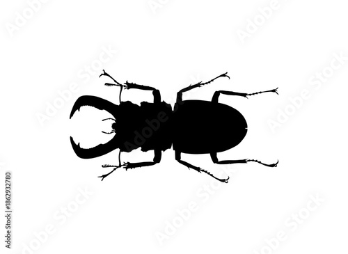 Stag Beetle Silhouette with Large Mandibles Isolated on White Background, Detailed Vector Drawing of a Prominent Insect, Entomology and Nature Study