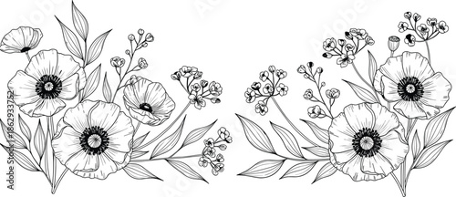 Hand drawn poppy flower arrangement, black and white botanical sketch, floral border element, vintage engraving style, cad drawing flat vector illustration