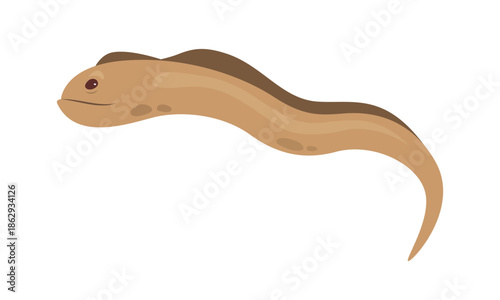 Sea eel, wild marine animal and funny aquatic saltwater creature vector illustration