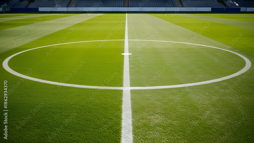 Obraz premium Soccer Stadium Field