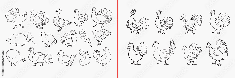 Fototapeta premium duck illustration vector, goose bird doodle art, farm bird sketch icons, waterfowl illustration set, poultry animal drawing, duck clipart collection, bird graphic elements, farm animal vector pack, du