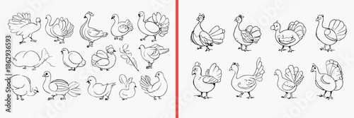 duck illustration vector, goose bird doodle art, farm bird sketch icons, waterfowl illustration set, poultry animal drawing, duck clipart collection, bird graphic elements, farm animal vector pack, du