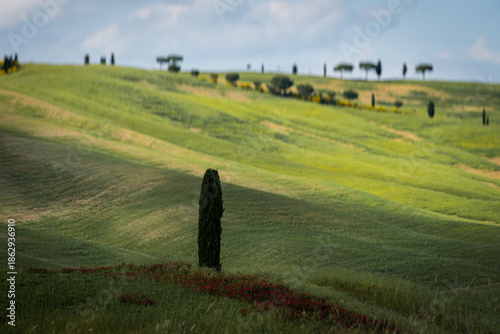 Landscapes in the Orcia Valley, Tuscany, Italy.