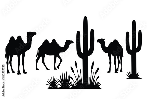 Silhouettes of camels and cacti in a desert landscape isolated on white background, Vector, illustration