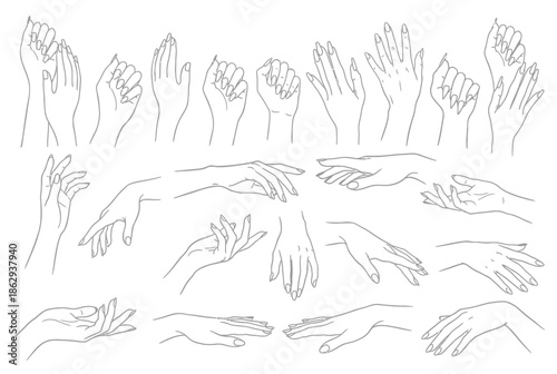 Collection of various hand gestures isolated on white background, Vector, illustration
