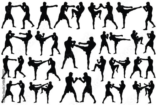 Various martial arts moves illustrated isolated on white background, Vector, illustration