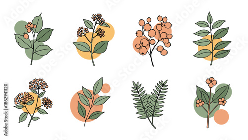 Collection of botanical illustrations showing various types of berry branches and leaves with soft colored circles in the background for artistic effect.