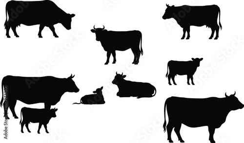 Cow and cattle silhouettes collection featuring farm animals in various poses isolated on white background for agriculture design use
