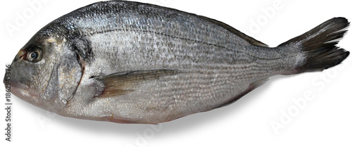 Tableau sur toile Dorado Fish: Pristine image captures a dorado fish, showcasing its sleek silver scales, streamlined body, and the intricate details of its fins, ready for culinary adventure