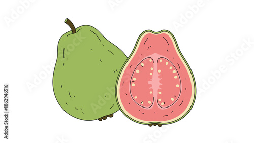 Illustration of a whole green guava and a halved guava showing the pink interior flesh and small seeds against a clean white background for food themes.