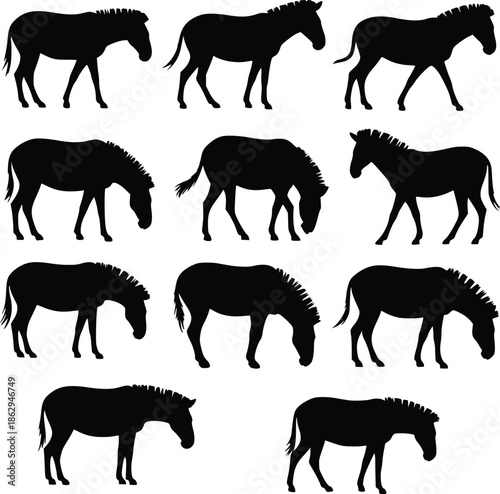 A collection of black horse silhouettes in various grazing and standing poses