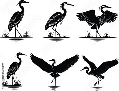 Heron, silhouette, black, white, bird, water, grass, flying, standing, walking, wings, elegant, nature, pose, feather, wetland, wildlife, landing, illustration, graceful - flavector
