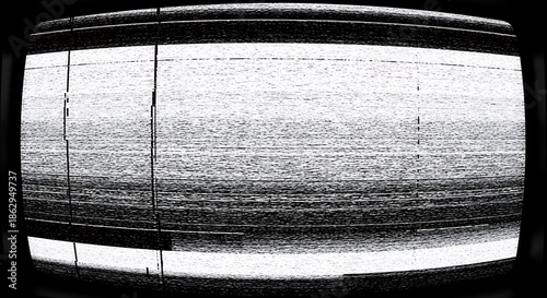 Monochrome electronic static fills the screen of an old cathode ray display
