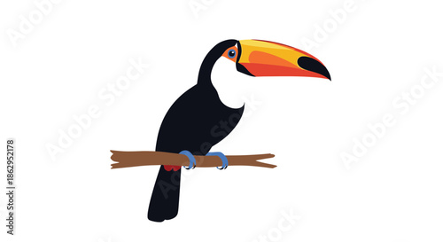 Colorful toco toucan with a large orange and yellow beak, perched on a tree branch in a simple vector illustration.