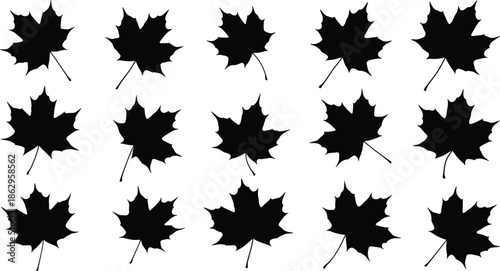 maple leaf autumn fall foliage silhouette nature seasonal vector icon illustration black