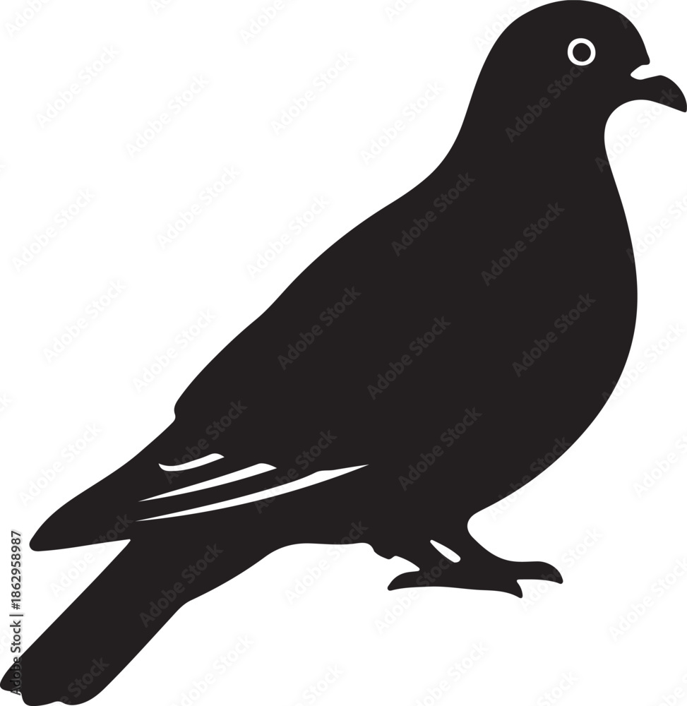 Fototapeta premium Kereru icon in silhouette white background..
