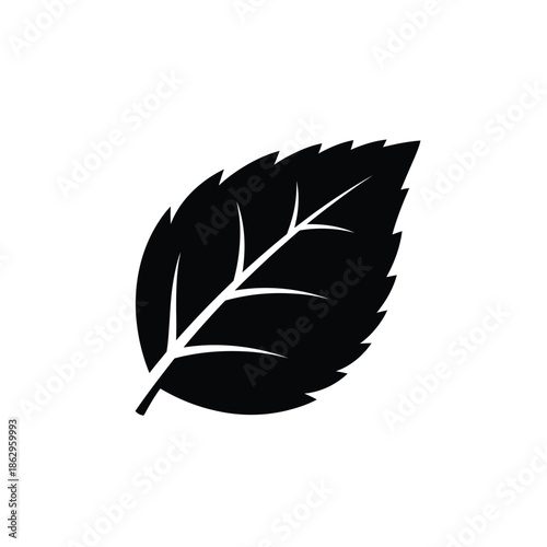 Black serrated leaf silhouette with white veins on white background