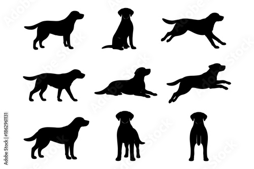 Dog silhouettes variety pack: different poses and positions for creative projects
