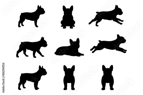Silhouette collection of french bulldogs in various poses