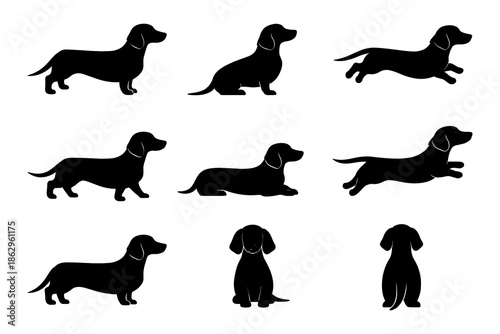 Dachshund silhouettes: variety of poses and movements in black
