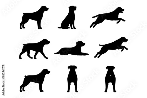 Dog silhouette collection: variety of poses in black silhouette style