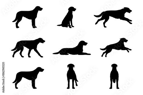 Silhouette collection of dogs in various poses
