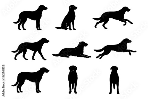Silhouette collection of dog poses featuring labrador retrievers in various actions