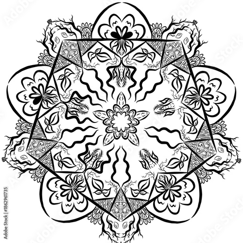 vector illustration of a floral pattern