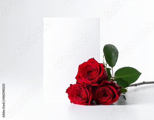 Valentine’s Day greeting card mockup with red rose flower, isolated on white background, copy space