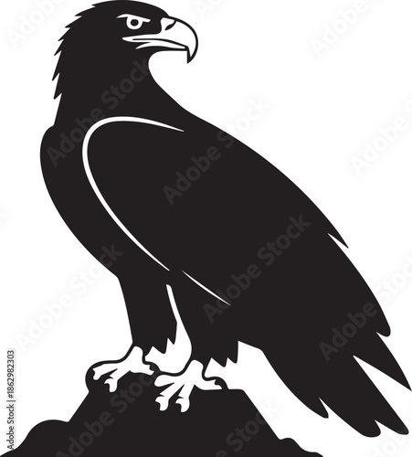 Detailed eagle silhouette vector illustration created with adobe illustrator