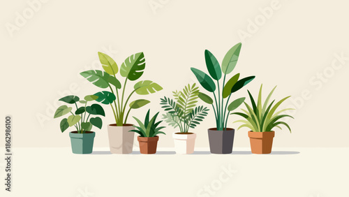 Potted plants in various pots