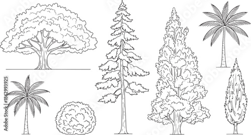 A collection of meticulously rendered illustrations of trees, from the towering majesty of a tall evergreen to the delicate grace of a palm. Each tree is presented in a clean, uncluttered outline.