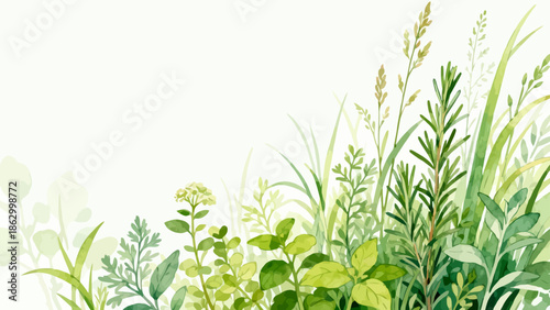 Watercolor painting of green plants