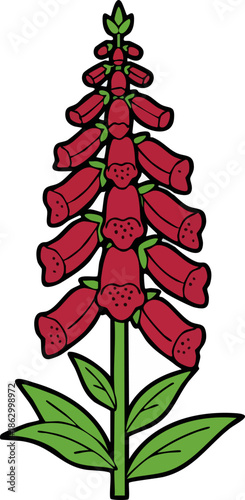 Red Foxglove Flower Digitalis Vector Illustration Isolated