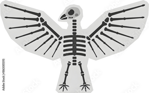 Bird skeleton illustration with wings spread wide on transparent background