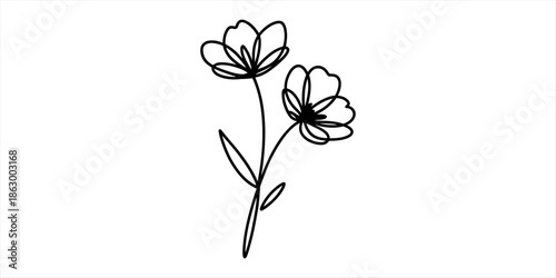 Simple black line drawing of two delicate flowers on a white background Vector, illustration