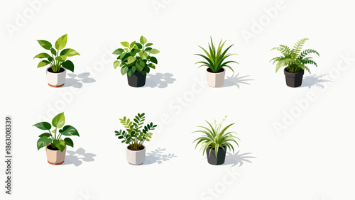 Six potted plants on white background