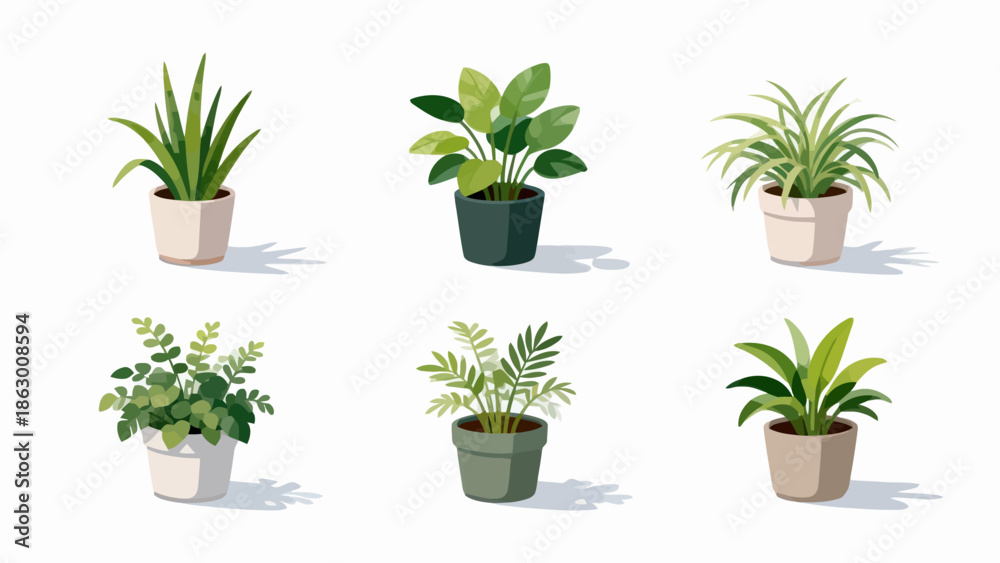 Fototapeta premium Six potted plants in various styles
